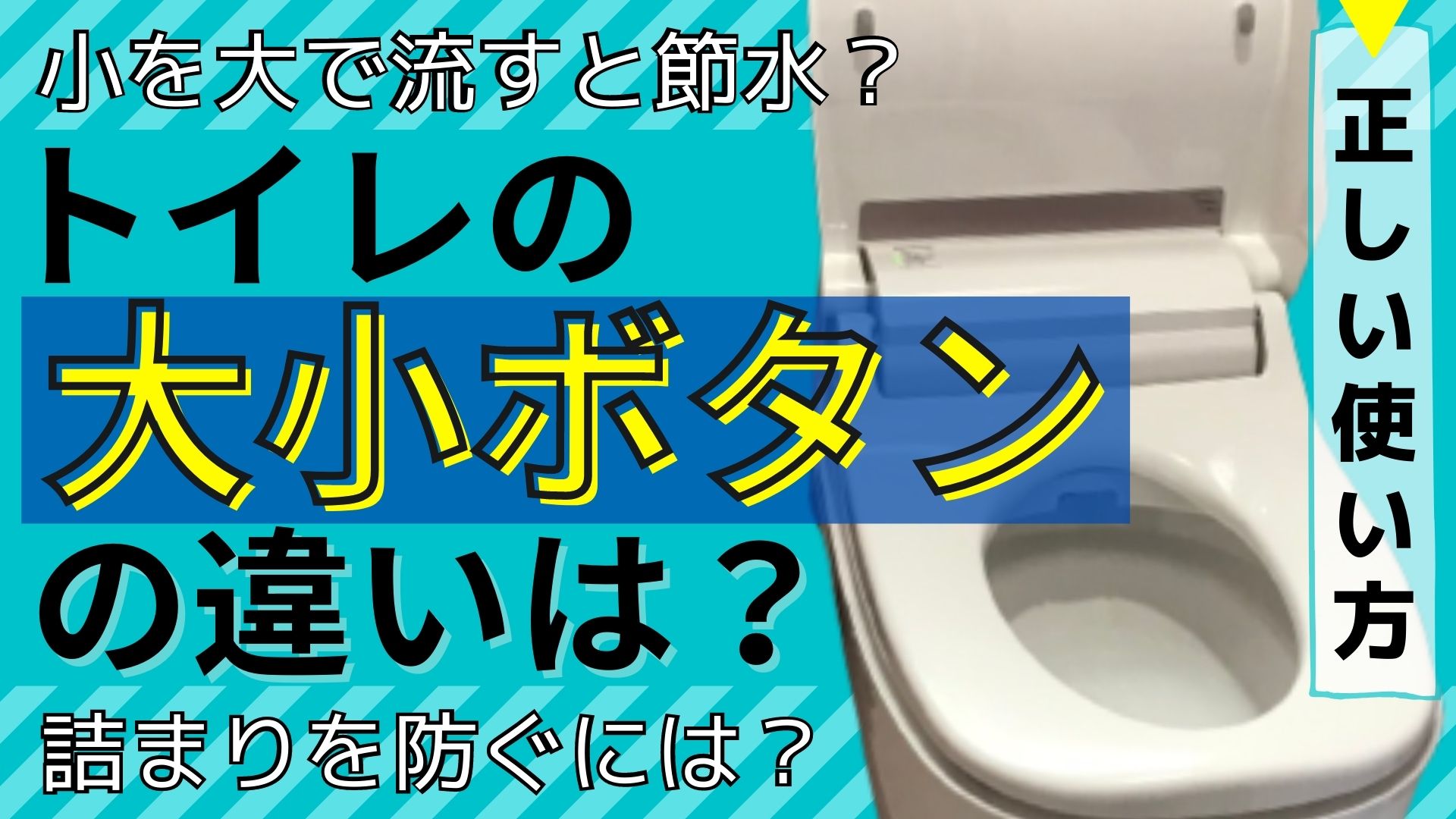 You Tube～オオモトサ～ン！教えて～！トイレの大小～アップしました！
