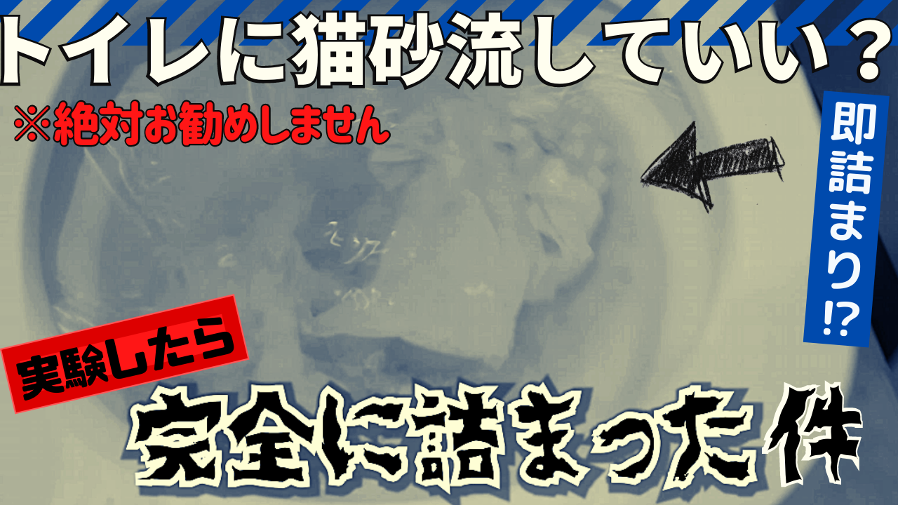 YouTube～トイレに猫砂流していいの？～UPされてました