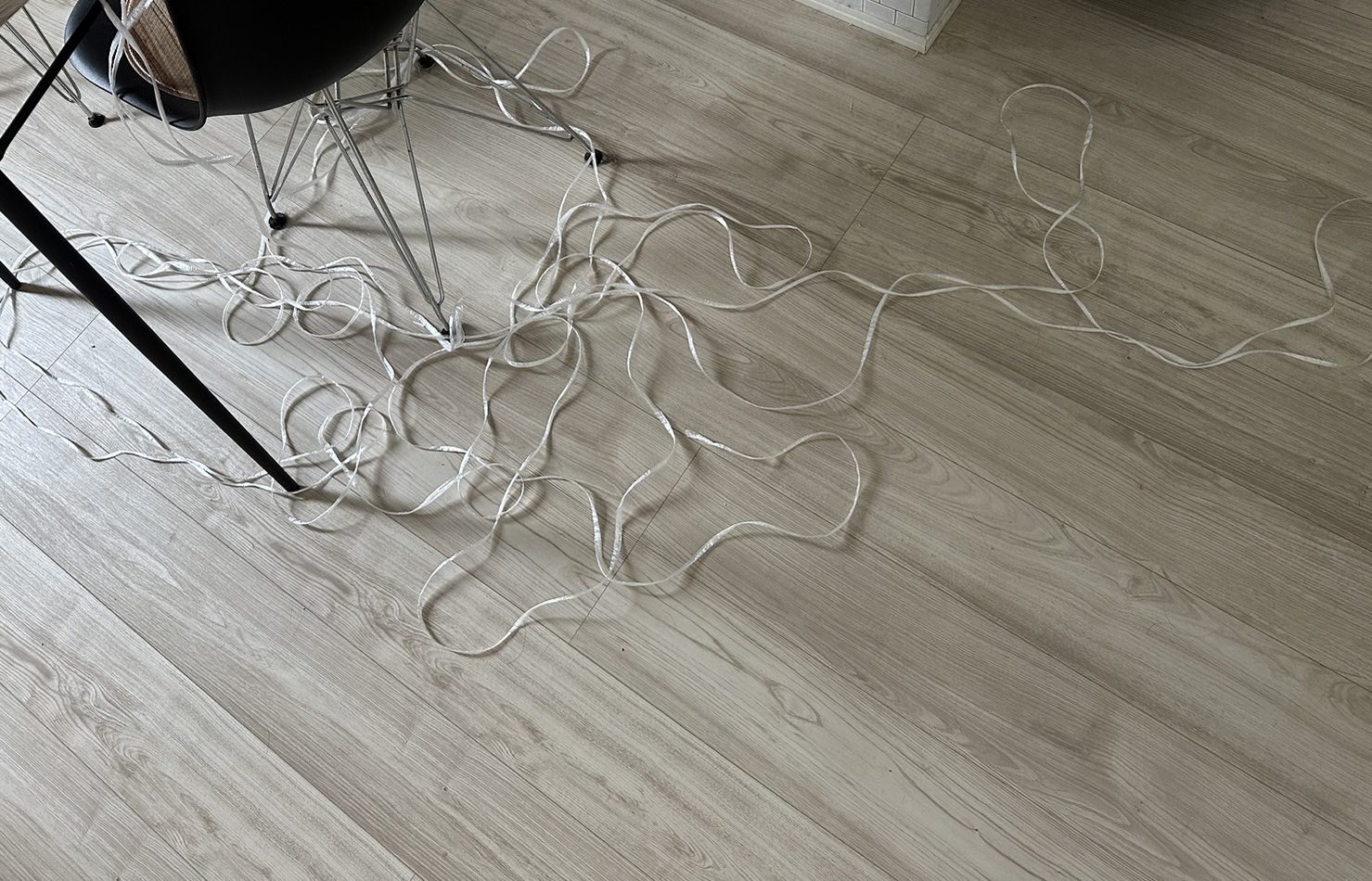 朝起きたら…🐈