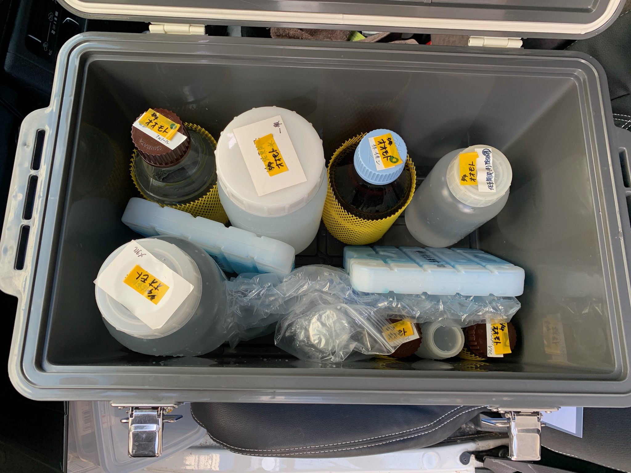 井戸水の水質検査🚰