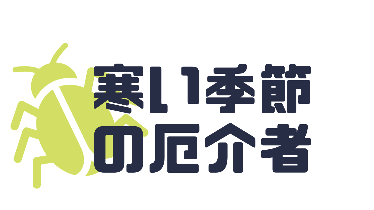 寒い時期のやつらがやってきた🐞