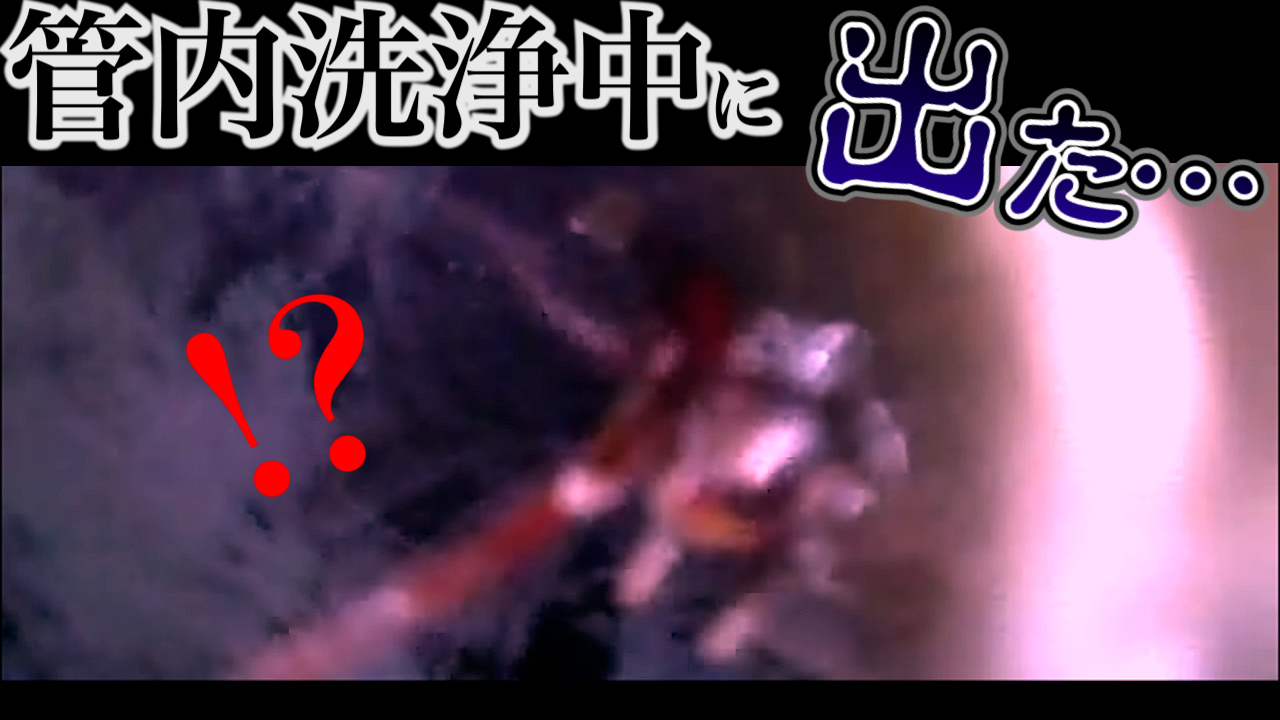 YouTube更新～ 【水道職人】管内洗浄中に～