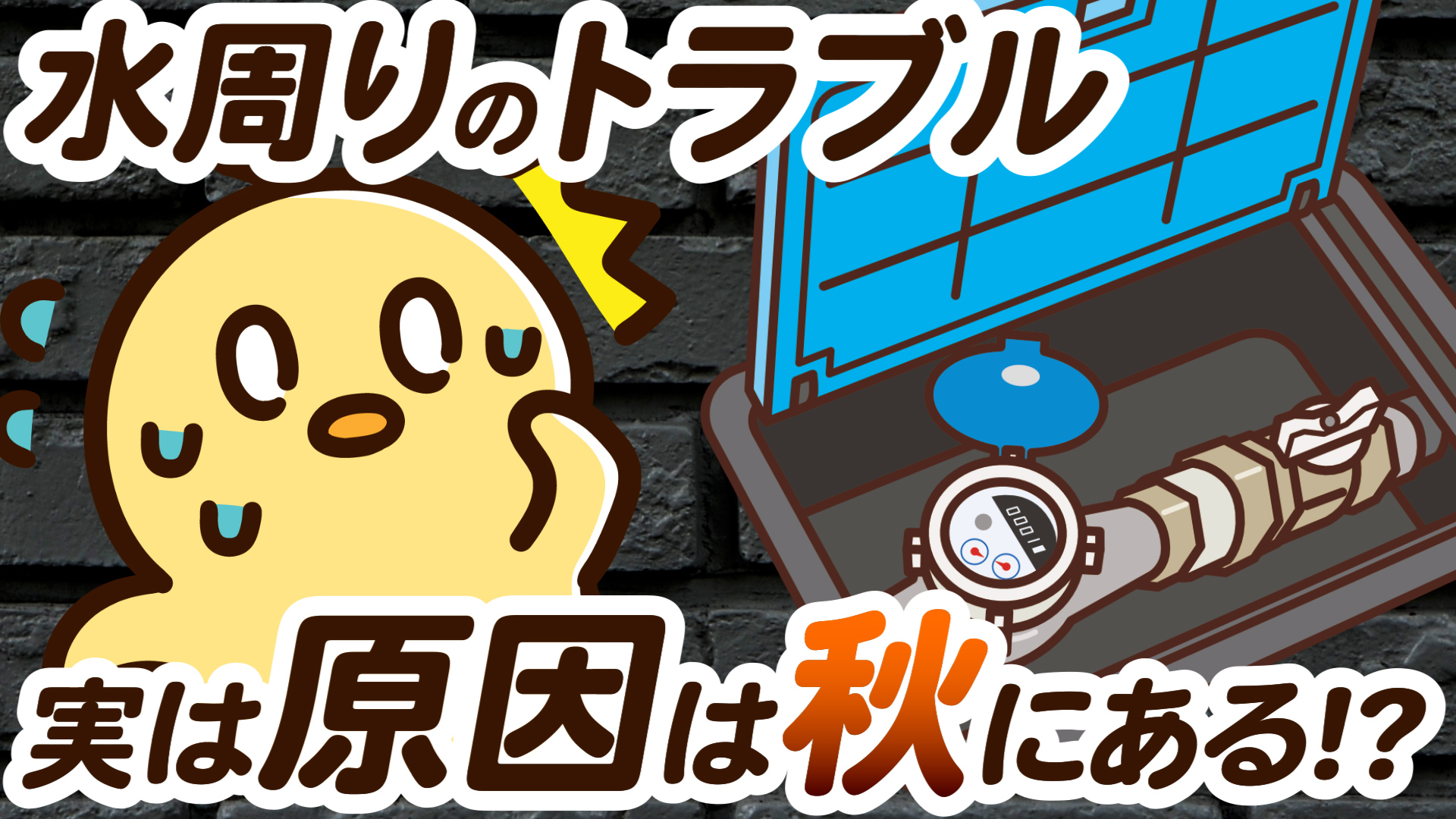 YouTube更新～秋に水道管チェックしないと、冬に後悔します～